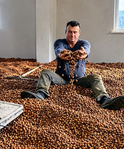 Yağmur Fındığı Kurutmaya İzin Vermedi, Çareyi Soba Yakmakta Buldu