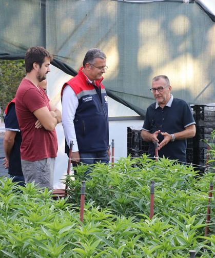 'Kesme çiçek üretiminden yıllık 7 milyon adet ürün elde ediliyor'