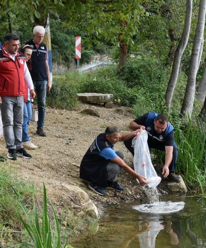 Ordu'da 80 bin yavru sazan göllerle buluşturuldu