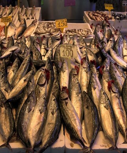 Karadeniz'de balık tezgahlarında çeşit bolluğu