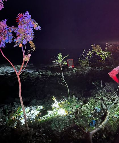 Arhavi'de kontrolden çıkan TIR, deniz kenarındaki kayalıklara takıldı