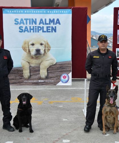 Trabzon'da Büyükşehir'den hayvan sevgisi için renkli etkinlik