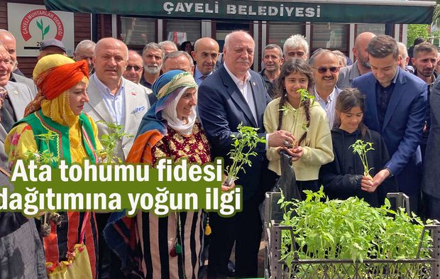 Ata Tohumu Fideleri Çayeli’nde Vatandaşlara Dağıtıldı