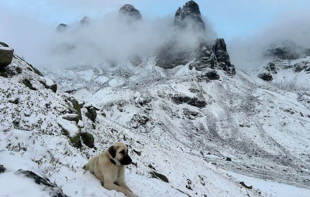Rize'de Kaçkar Dağları beyaza büründü