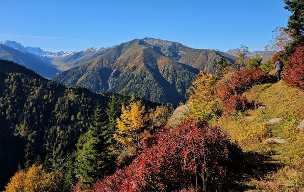 Rize'nin yaylalarında sonbahar renkleri hakim oldu