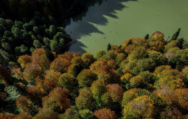 Artvin'deki Borçka Karagöl Tabiat Parkı sonbahar renklerine büründü