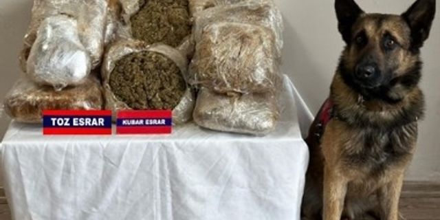 Bolu'da yolcu otobüsünde 17,5 kilogram uyuşturucu ele geçirildi
