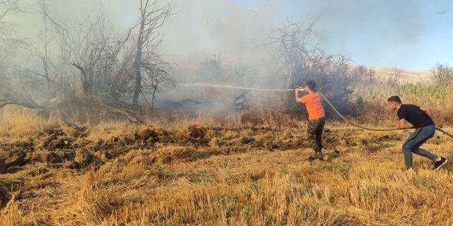 Çorum'da 50 dönümlük alanı etkileyen anız yangını kontrol altına alındı