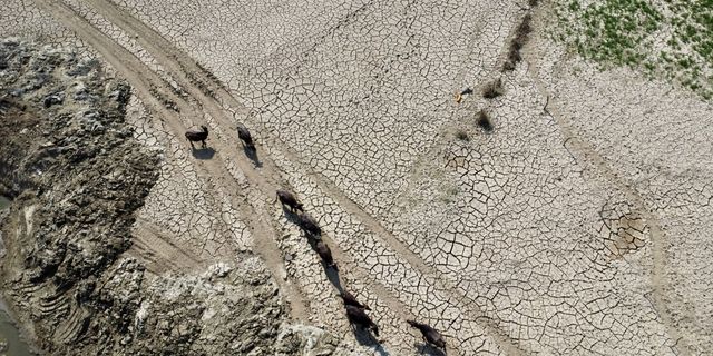 Düzce'de selin ardından oluşan "mil kuraklığı" tarım alanı ve meraları etkiledi