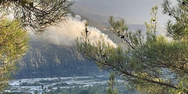 Karabük'te çıkan orman yangınına müdahale ediliyor