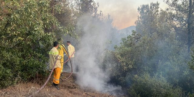 Tokat'ta çıkan orman yangınına müdahale ediliyor