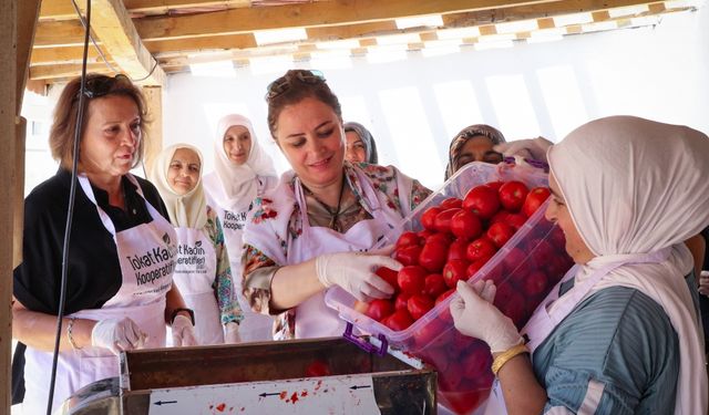 Vali Hatipoğlu'nun eşi Ayfer Hatipoğlu, Tokatlı kadınlarla salça yaptı