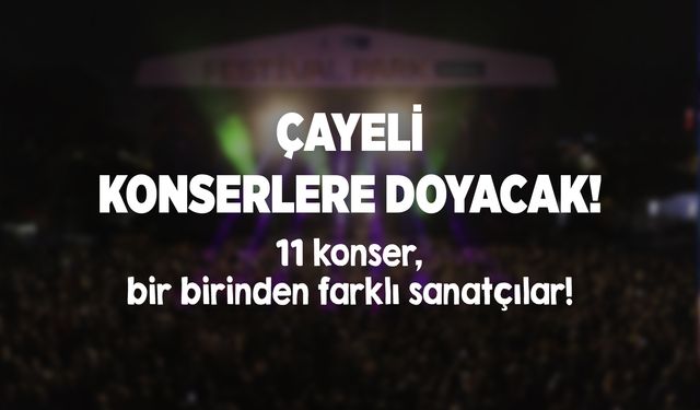 Çayeli'ndeki festivale hangi sanatçılar geliyor?