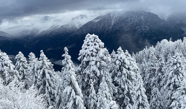 Rize'nin yüksek kesimlerine kar düştü