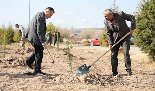Alaca'da  350 fidan toprakla buluşturuldu