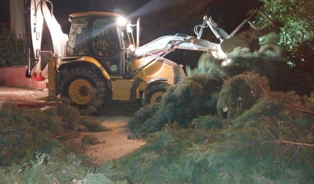 Düzce ve Sakarya'da kuvvetli rüzgar etkili oldu