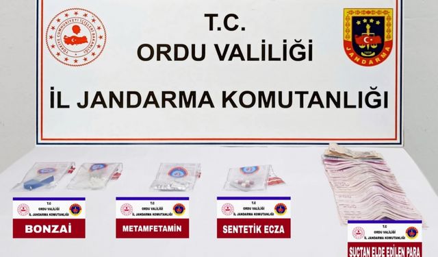 Ordu'da uyuşturucu operasyonunda 1 kişi gözaltına alındı