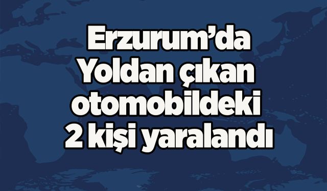 Erzurum’da  Yoldan çıkan otomobildeki 2 kişi yaralandı