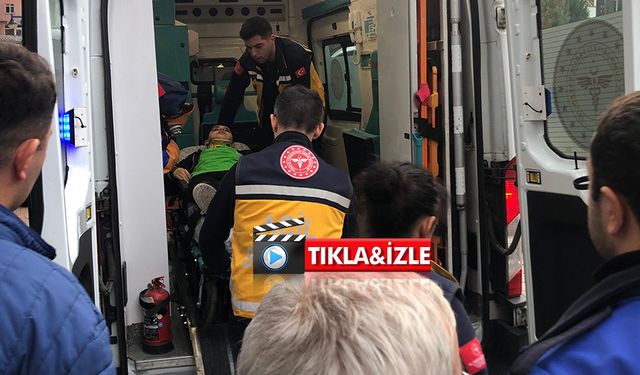 Rize'de sahipsiz köpeklerin saldırdığı çocuk yaralandı