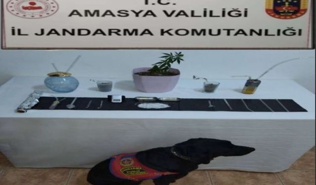 Amasya'da uyuşturucu operasyonunda 1 şüpheli yakalandı