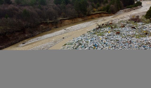 Bolu'da eski çöp döküm sahasındaki atıklar kirliliğe neden oldu