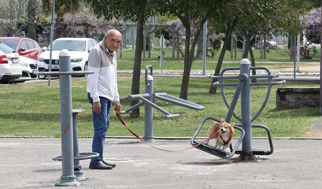 Samsun'da vatandaşlar hafta sonunda güneşli havanın tadını çıkardı