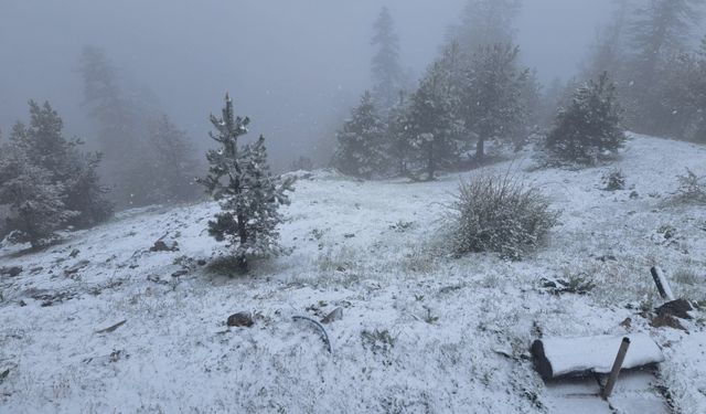 Bolu, Düzce, Sakarya ve Karabük'ün yüksek kesimlerine kar yağdı