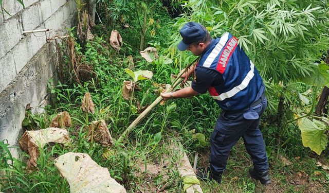 Rize’de uyuşturucu operasyonu: 2 kişi gözaltına alındı