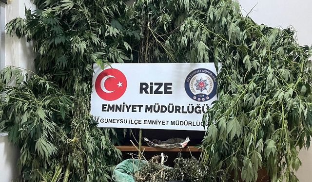 Rize’de uyuşturucu operasyonu yapıldı