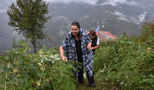 Tarım eğitimlerine katılan emekli çift sebze ve meyve üretiyor