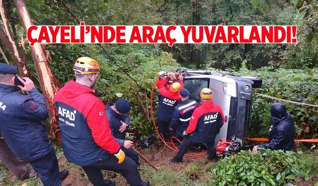 Çayeli'nde araç uçuruma yuvarlandı