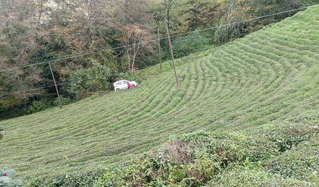 Rize'de çay bahçesine devrilen araçta maddi hasar oluştu