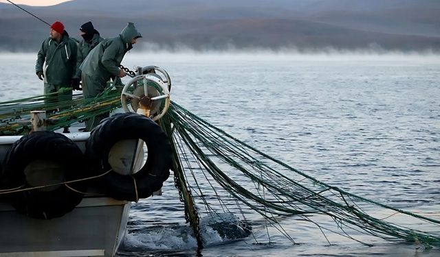 Doğu Karadeniz'in su ürünleri ihracat geliri 11 ayda yüzde 23 arttı