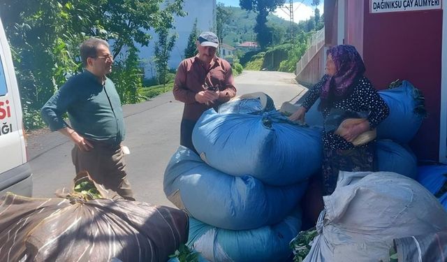 CHP Rize İl Başkanı Deniz: Çay sezonu yaklaşıyor sorunlar aynen devam ediyor