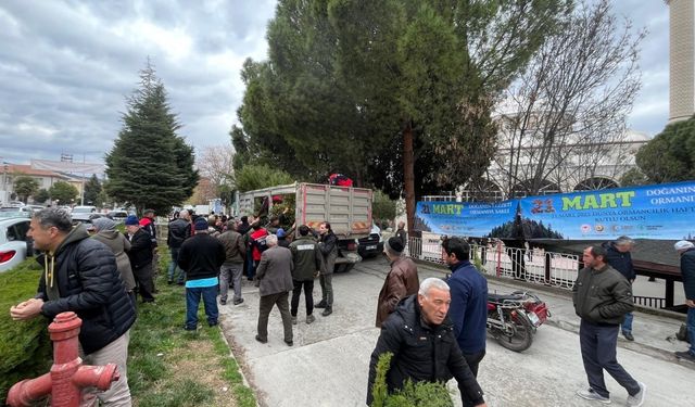 Kargı'da vatandaşlara fidan dağıtıldı