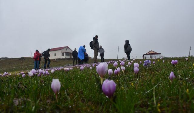 Gündem