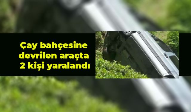 Rize'de hafif ticari aracın çay bahçesine devrildiği kazada 2 kişi yaralandı
