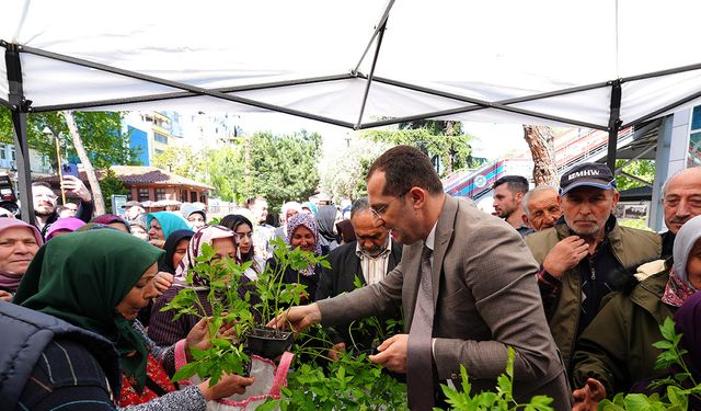 Akçaabat'ta ücretsiz 10 bin sebze fidanı dağıtıldı