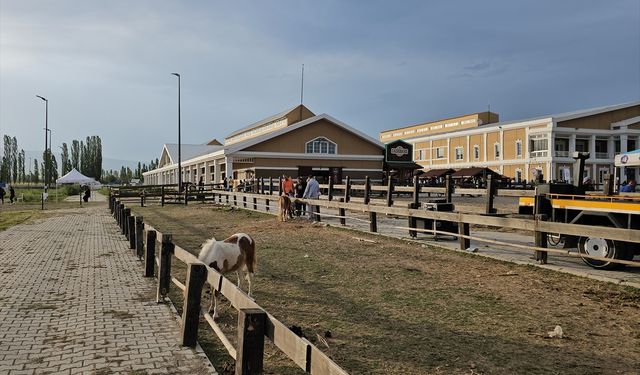 Çorum'da "Uluslararası Atlı Dayanıklılık Yarışması" yapıldı