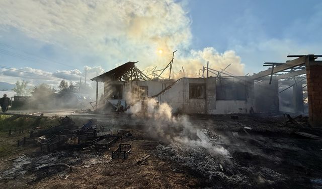 Düzce'de yangın çıkan ev ile bitişiğindeki ahır ve kümes yandı