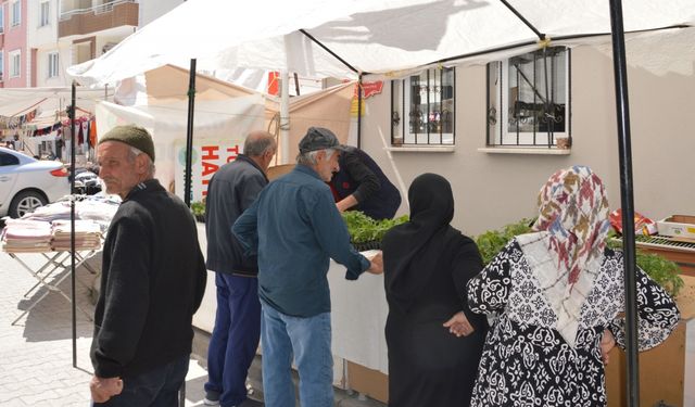 Havza Ziraat Odasında sebze fidesi satışları başladı