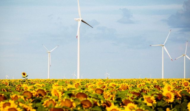 ING’nin iklim hedefleri, Bilimsel Tabanlı Hedefler Girişimi tarafından doğrulandı