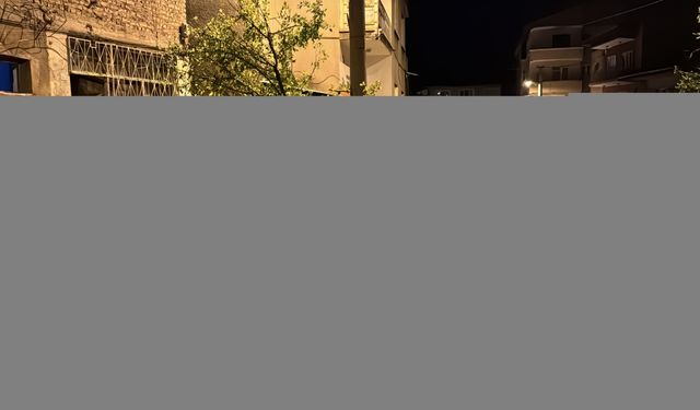 Karabük'te kuvvetli rüzgar etkili oldu