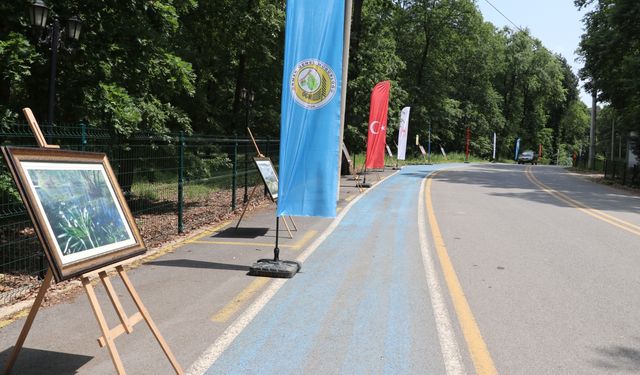 Sakarya ve Düzce'de "Orman Benim" kampanyası kapsamında etkinlik düzenlendi