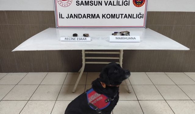 Samsun'da alışveriş çantasındaki uyuşturucu "Tahra"nın hassas burnundan kaçmadı