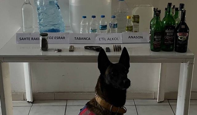 Samsun'da sahte içki operasyonunda bir şüpheli yakalandı