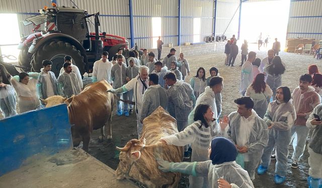 TOGÜ, öğrencilerine çiftlikte uygulamalı eğitim verildi