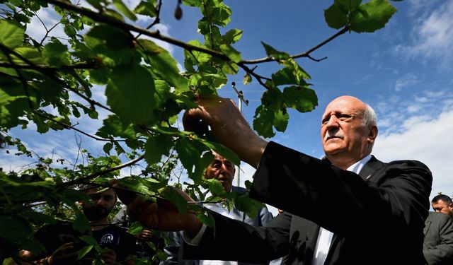 TZOB Genel Başkanı Bayraktar, Düzce'de zirai dondan etkilenen bahçelerde incelemede bulundu