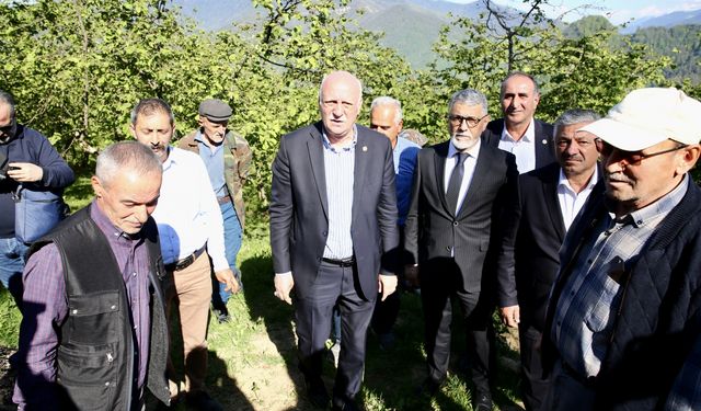 TZOB Genel Başkanı Bayraktar, Giresun'da zirai dondan etkilenen fındık bahçelerini inceledi