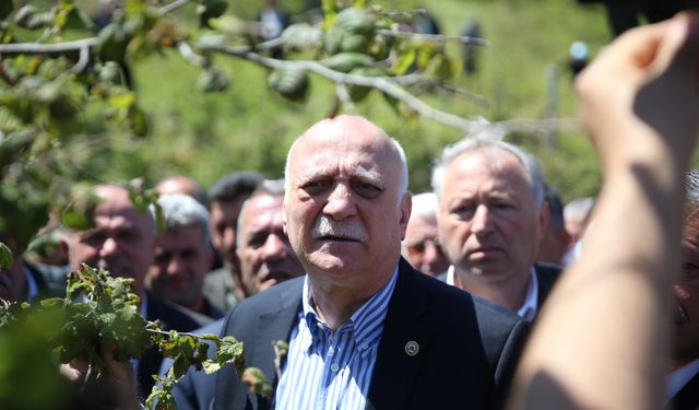 TZOB Genel Başkanı Bayraktar, Ordu'da zirai dondan etkilenen fındık bahçelerini inceledi